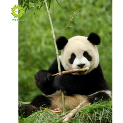 Full Square&Round Diamond Painting Landscape Animal 5D Diamond Embroidery Mosaic Cross Stitch Animal Home Decor Gift