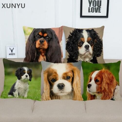 XUNYU Cavalier King Charles Pillowcase Home Sofa Square Pillow Cover Cute Animal Pattern Decorative Cushion Cover 45X45cm AC021