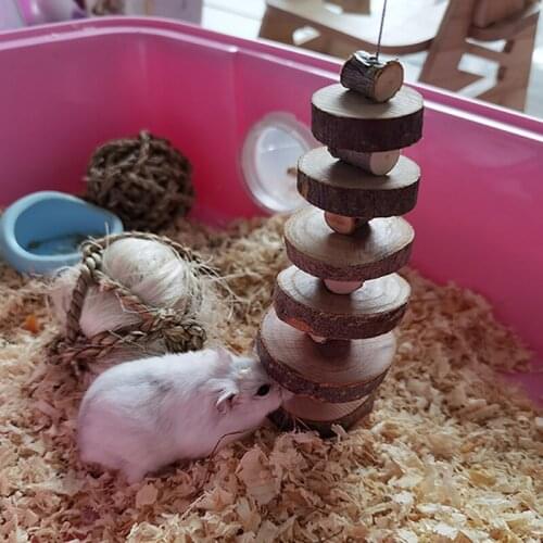 22cm Small Pets Apple Wood Chew Toy Sticks Twigs For Rabbit Hamster Guinea Pig Cleaning Teeth Parts For Pet Toys