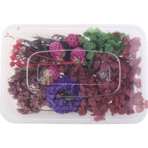 1 Box Real Mix Dried Flowers for Resin Jewellery Dry Plants Pressed Flower
