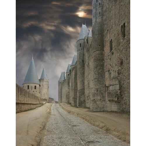 5x7ft Vintage Stone Castle Cloud Photography Backdrops Photo Props Studio Background