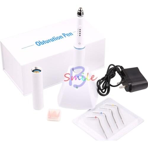 1sets Dental Charging Hot Melt Filling System Dental Cordless Obturation System Endo Heated Pen with 4 tips