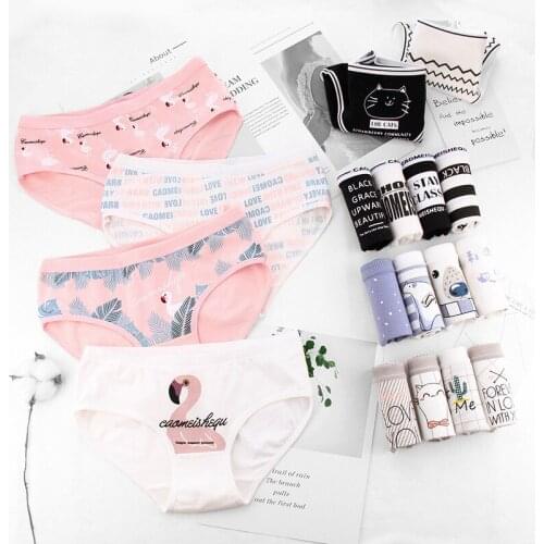 2019New Female Student 4pcs/lot Girl Panties Sweet Underwear Cotton Briefs Lovely Girl Soft Comfortable Printed Panty For 12-20y