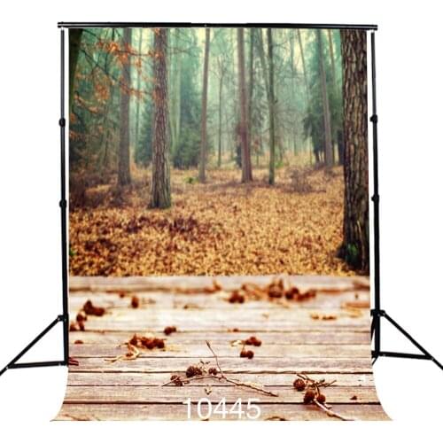 Autumn Tree Fallen Leaves Portrait Background Photo Shooting Customized Photography Backdrops For Photo Studio Baby Children