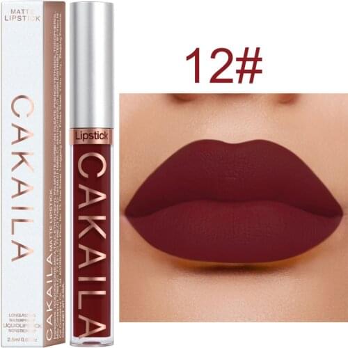 New Arrivals Lipstick Matte Velvet 36 Colors Lip Gloss Cosmetics Gift Long-Lasting Waterproof Women Sexy Maquillage ​TSLM1