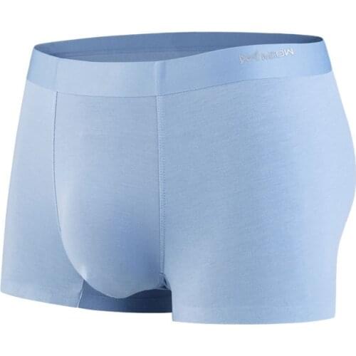 Men Underwear Boxers Men Boxershort Panties Modal Man Boxeur Homme Underpants Calzoncillos Bamboo Fiber Mesh Loose Designer