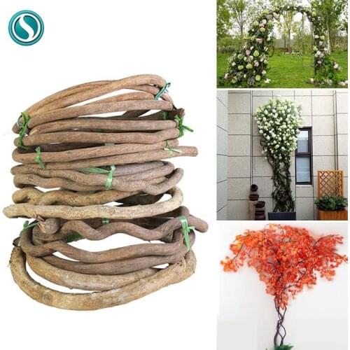 DIY Decor Dried Tree Rattan Material Natural Twigs Dry Plant Vine Branches Balcony Garden Decoration Wedding Wall Accessories