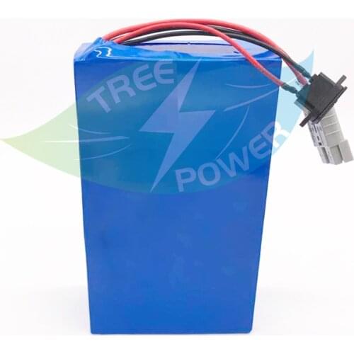 48v 30ah lithium ion battery 48V li ion BMS for 2500W 1500w tricycle golf cart tricycle bike equipment scooter