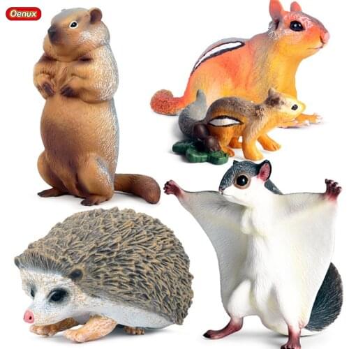 Oenux Original Wild Animals Simulation Model Pteromyini Hedgehog Chipmunk Squirrel Marmot Action Figure PVC Educational Kids Toy