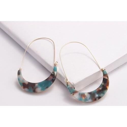 Fashion Simple Earrings Alloy Crescent Leopard Print Acrylic Acrylic Plate Big Ear Hook Womens Earrings Party Jewelry