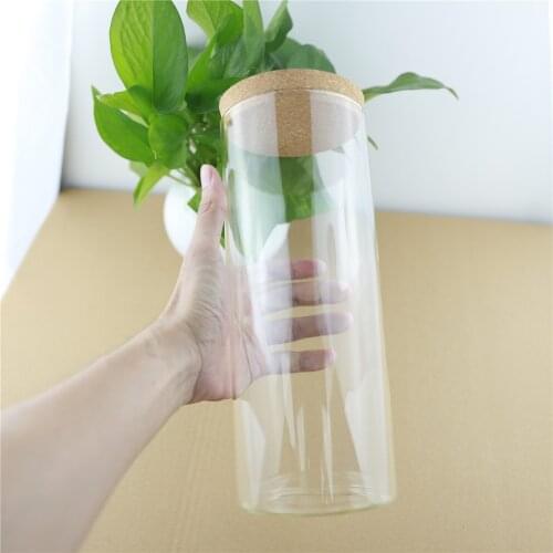 2pcs/lot 100*250mm 1.7L Cork Kitchen Storage Large Glass Bottle Food Jar Container Transparent Empty Spice Nuts Storage Jars