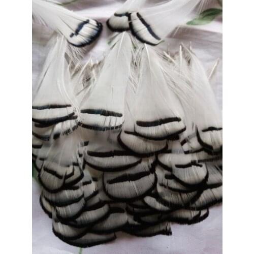 Wholesale perfect 20pcs high quality natural Lady Amherst Pheasant Feathers 2-4inch/5-10cm Decorative diy