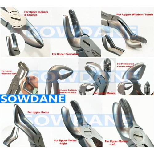 SOWDANE Gears