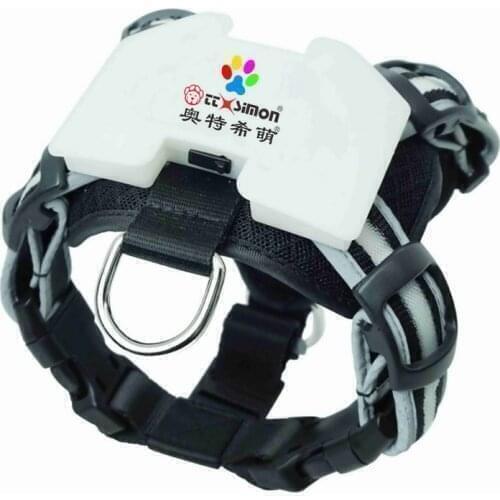 CC Simon USB Rechargeable Led Dog Harness Multicolor