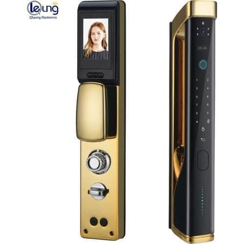 Doubwin Automatic Wifi APP High Quality Biometric Fingerprint Intelligent Password Card Key Smart Door Lock