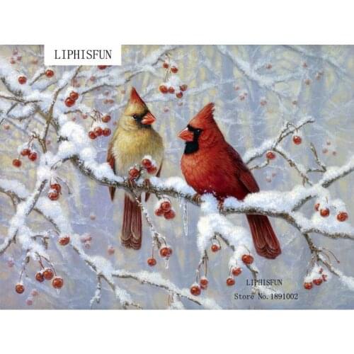 Diy Diamond Painting Needlework Birds Winter Joy Cross Stitch Square Rhinestone Picture Of Resins Embroidery Patchwork Crafts