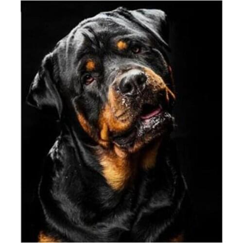 Diamond Painting Dog Pet Cross Stitch Needlework Mosaic Rhinestone Home Decoration WG2199