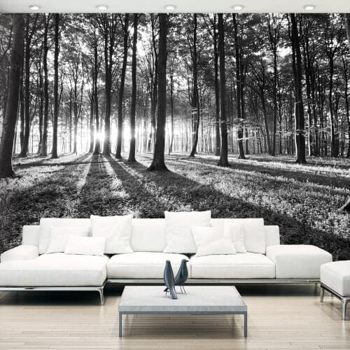 Wall mural 484-grey Wilderness - 400x280 cm