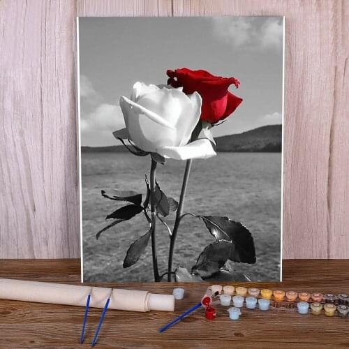 Flower Rose DIY Paint By Numbers Set Acrylic Paints 40*50 Paiting By Numbers Home Decoration For Children Wall Handicraft