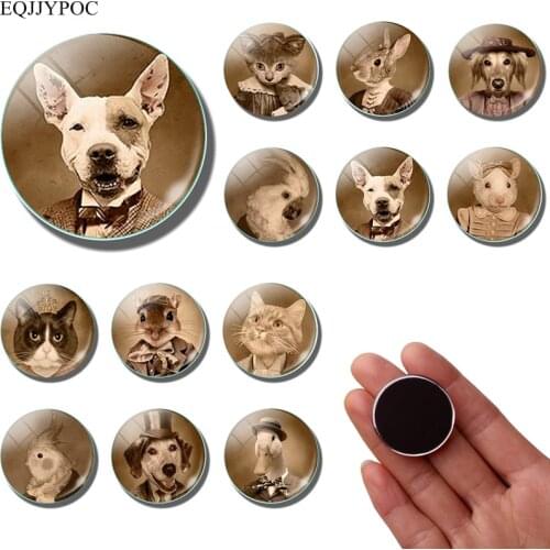 Animal fridge magnet Dog cat rabbit duck mouse parrot Glass cabochon Cartoon refrigerator magnets 30MM fridge sticker Home Decor