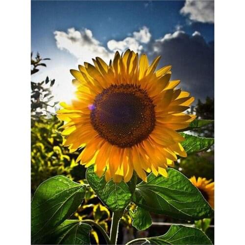 Diy 5D Diamond Painting By Number Kit for Adult, Full Drill Diamond Embroidery Dotz Kit Home Wall Decor-11.8X15.7 Inch(Sunflower