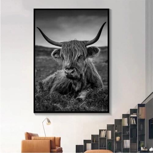 5D Diy Round Square Diamond Embroidery Black And White Animal Art Highland Cattle Pattern Cross Stitch Kits Home DecorZP-4492