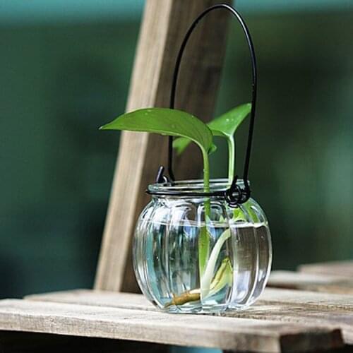 1PC Hanging Glass Vase Water Culture Flowers Green Plant Flowerpot Mini- Fish Home Furnishing Metope Decoration Vase JL 061