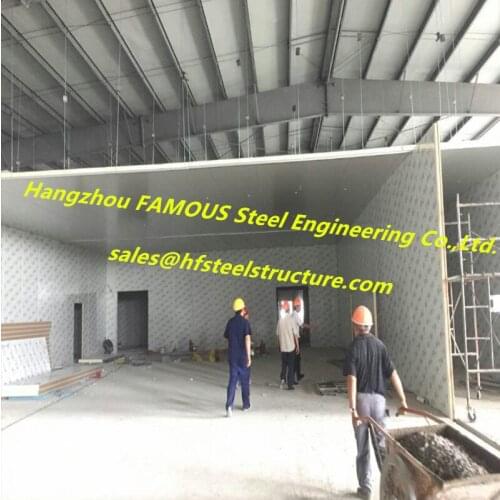 Project On Multi-Purpose Cold Storage Business With Steel Strucutre Frames