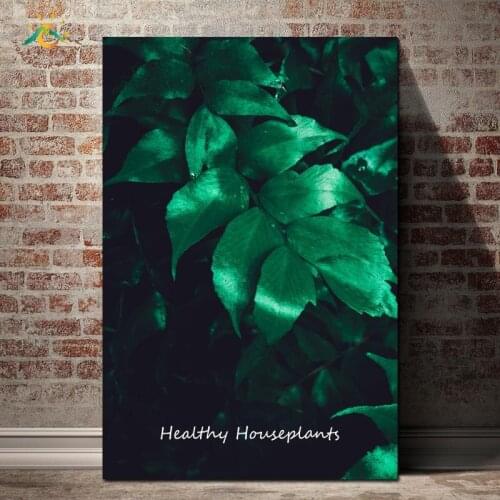 Healthy House Plant Nordic Poster Wall Art Canvas Art Prints Painting Pop Art Pictures Wall Posters and Prints for Living Room