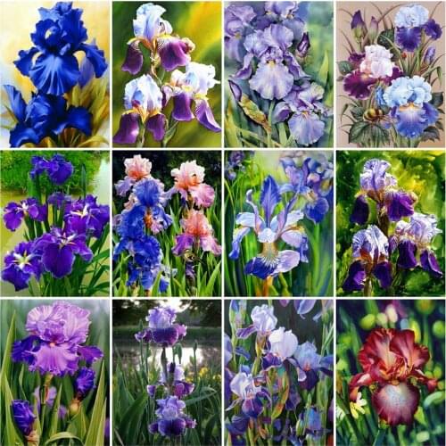 Huacan Diy Diamond Painting Iris Flower Full Square/round Mosaic Color Floral Embroidery Cross Stitch Diamond Art
