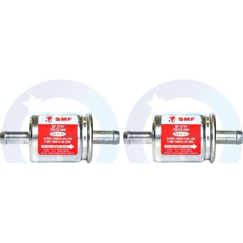 2 Pieces LPG CNG GPL Filters 12mmx12mm Zenit Digitronic EuropeGas Stag KME Atiker All Type