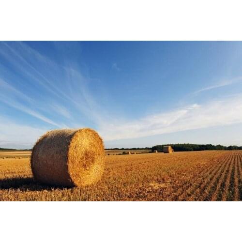 Wholesale cotton canvas prints from a photo of the farm view , quality canvas walll decor art for home supply free shipping