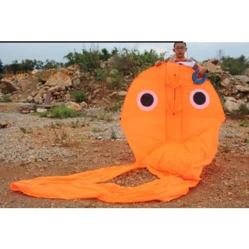 New3d breeze tadpole soft kite Single line kite rainbow large kite Flying kite ripstop nylon fabric outdoor game child bars