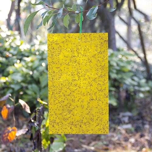 10pcs Double-Sided Yellow Sticky Trap For Flying Plant Insect Gardening Tools Double-Sided Shellac Pest Control Trap