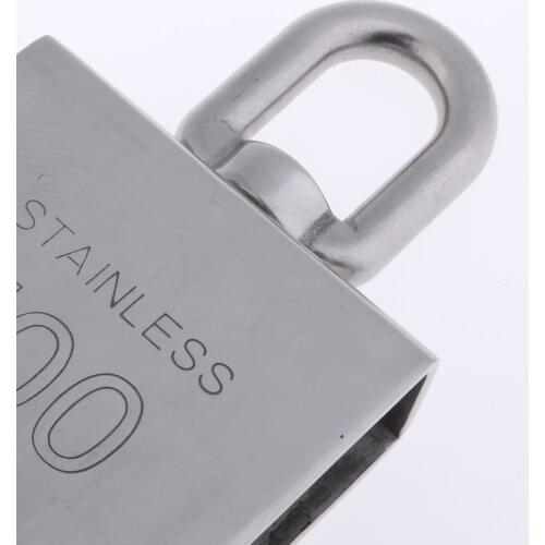 100mm Single Wheel Sheave Pulley Block Chain Lifting with Swivel Eye Stainless Steel Hardware