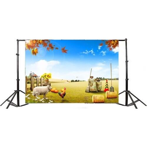 Photography Backdrop Cartoon Ship Chicken Haystack Pumpkin Farmland Blue Sky