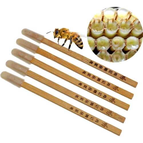 Beekeepers New Type Scrape Bee Pulp Bamboo Pen Professional Bee Jelly Digging Pen Royal Jelly Pens Single Head Beekeeping Tool