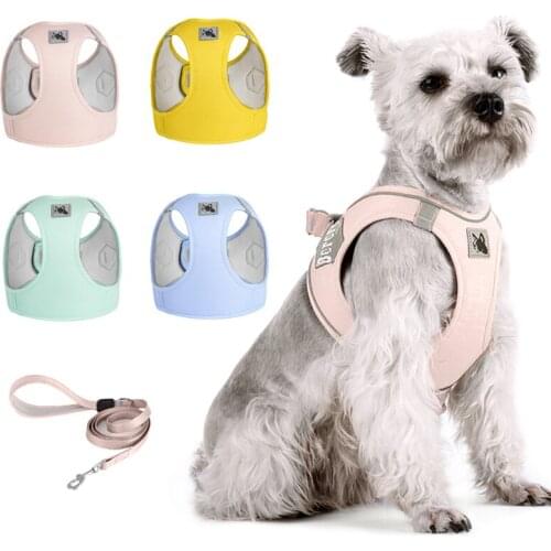 Reflective Puppy Cat Dog Vest Harnesss and Leash Set for Small Medium Dogs Schnauzer Chihuahua Macaron Pet Mascotas Harnesses