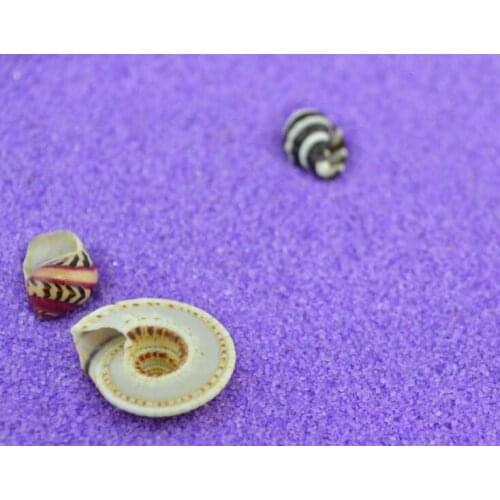 Hot Sale bottle micro landscape ecology natural quartz sand purple decorative sand Diy Mini Decor