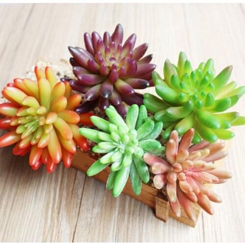 1 PCS Mini Sedum sediforme artificial succulents plants DIY artificial flowers succulent Ornaments Wedding Home Garden Decor