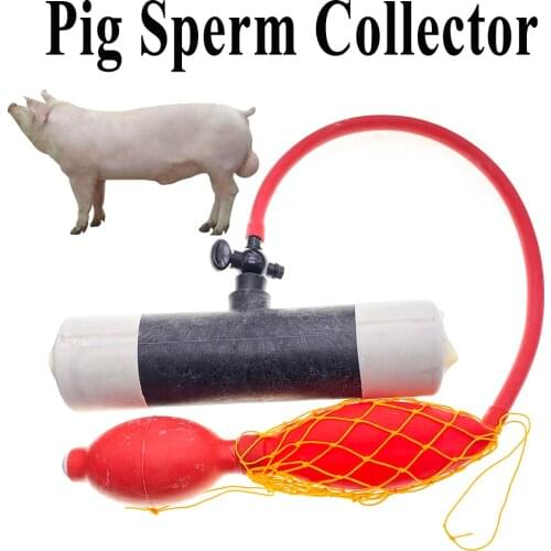 1SET Pig Semen Collection Kit Piggery Sperm Collector Artificial Insemination Plastic Rubber Inner Tube Veterinary Farming