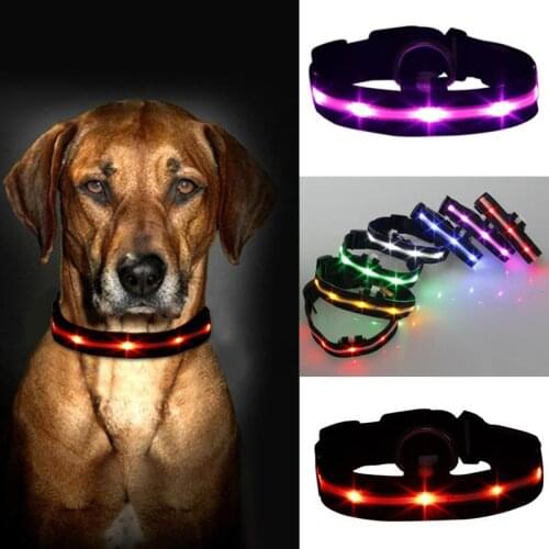 Nylon LED Pet Dog Collar Night Safety Anti-lost Flashing Glow Collars Dog Supplies Accessory Candy colors Adjustable Neck Strap