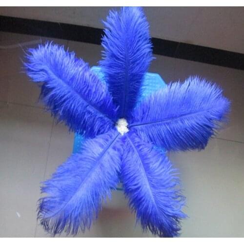 Wholesale! 500 PCS/a lot of beautiful sapphire ostrich feathers 20-25 cm / 8-10 inches wedding celebration decoration