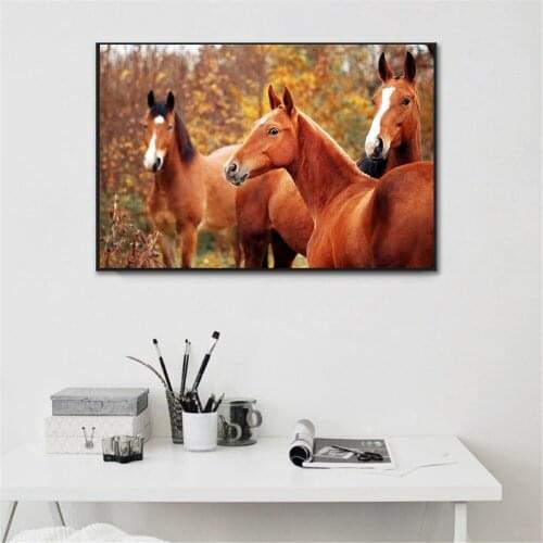 Horse Poster Animal Print Wall Pictures for Living Room Decoration Home Bedroom Decor Kitchen Scandinavian Abstract Oil Painting