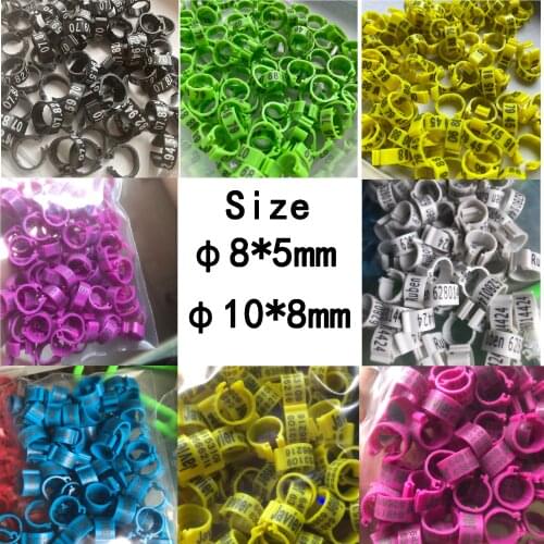 Wholesale/retail C8 8mm Bird Dove Pigeon Plastic Leg Rings Custom Plastic Lettering Rings Black/Red/Blue/Green/Gold