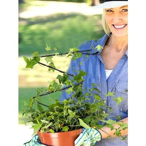 Vine Climbing Support Rack Flower Pot Frame Flower Heart-shaped And Triangle-shaped Metal Iron Fixed Rod Rust Free Plant Trellis