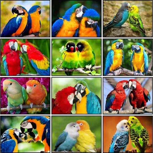 5D Diy Full Drill Diamond Painting Parrot Mosaic Diamond Embroidery Cross Stitch Animals Bird Home Decoration Handmade Gifts