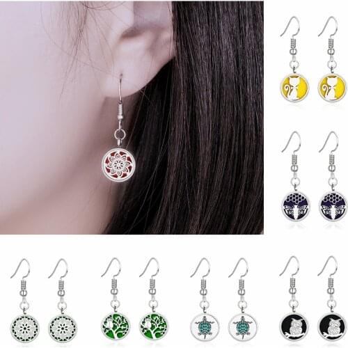 12mm Stainless Steel Round Twist Locket Fun Drop Earring Aromatherapy Essential Oil Diffuser Locket Hook Earrings Free Pads