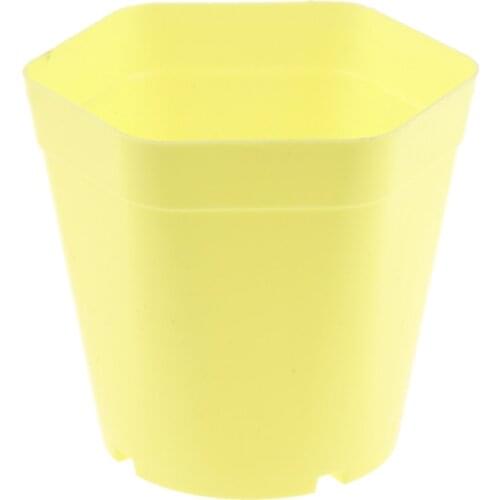 10Pcs Mini Plant Flower Pot for Home Office Desk Garden Decor Flower Supplies