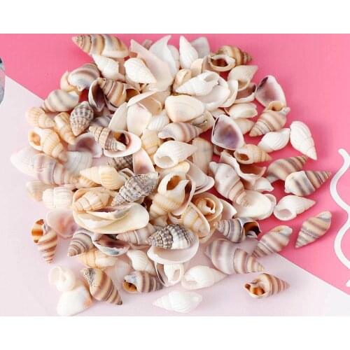 Ywbeads Decorative Seashells